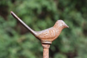 bird-1305132_960_720