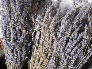 lavender-730271_960_720