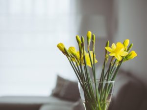 flowers-819361_960_720